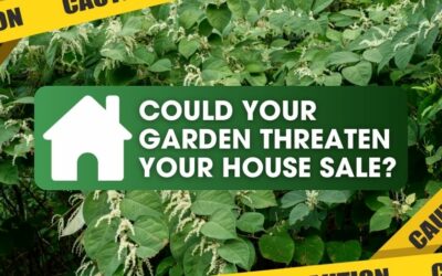 Could Your Garden Threaten Your House Sale?